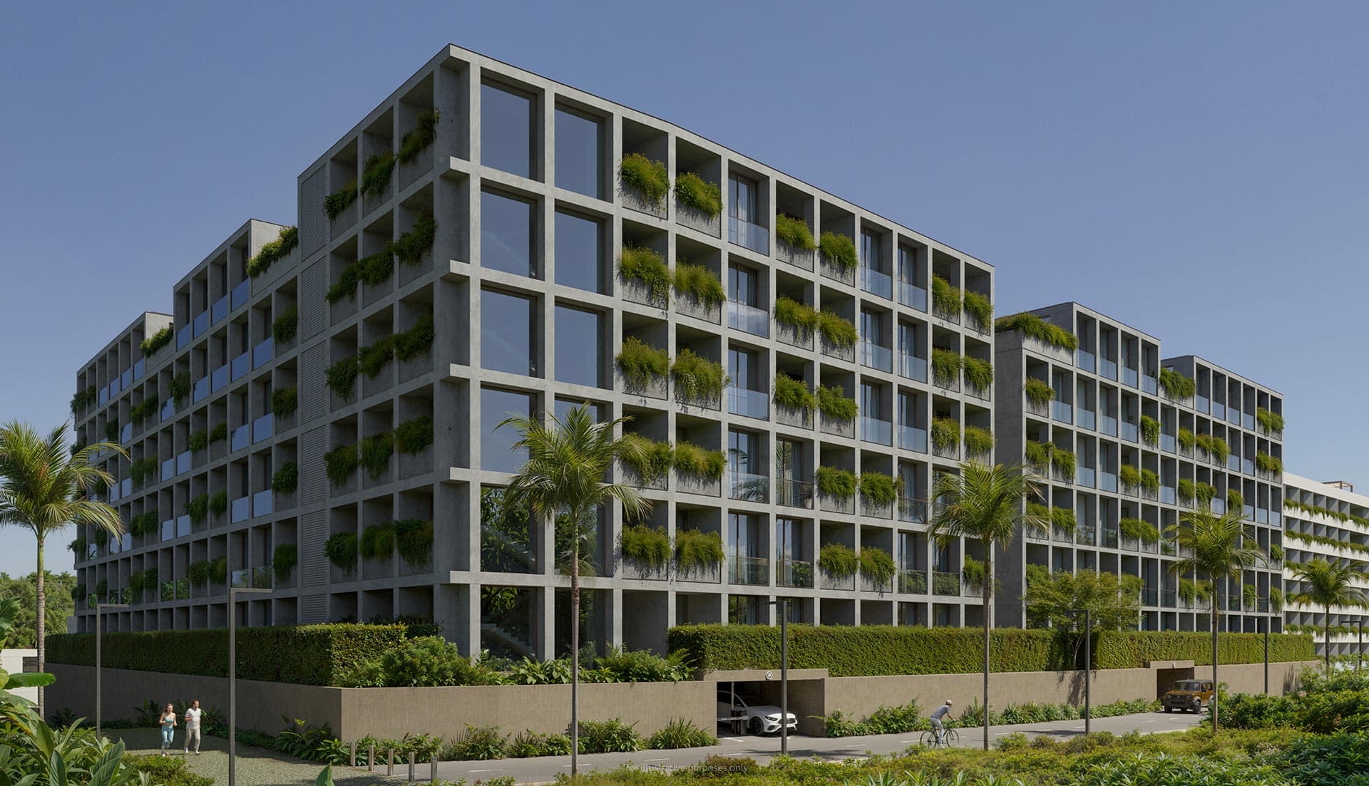 Terra Grove Layan Layan